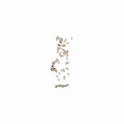 Export Image